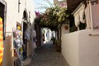 Oia 019